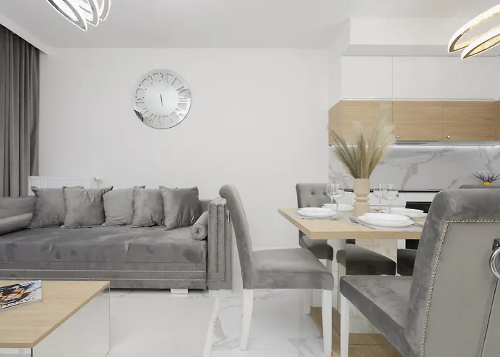 Luxurious Grey With Sauna, Gym And Parking By Renters 华沙